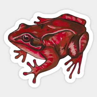 Red tropical frog Sticker